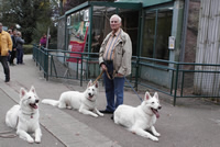 Dash, Davinia & Coralie